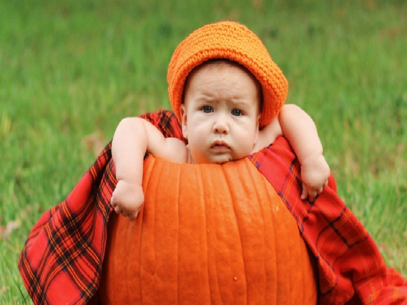 安徽哪里可以试管（陶美晨试管）